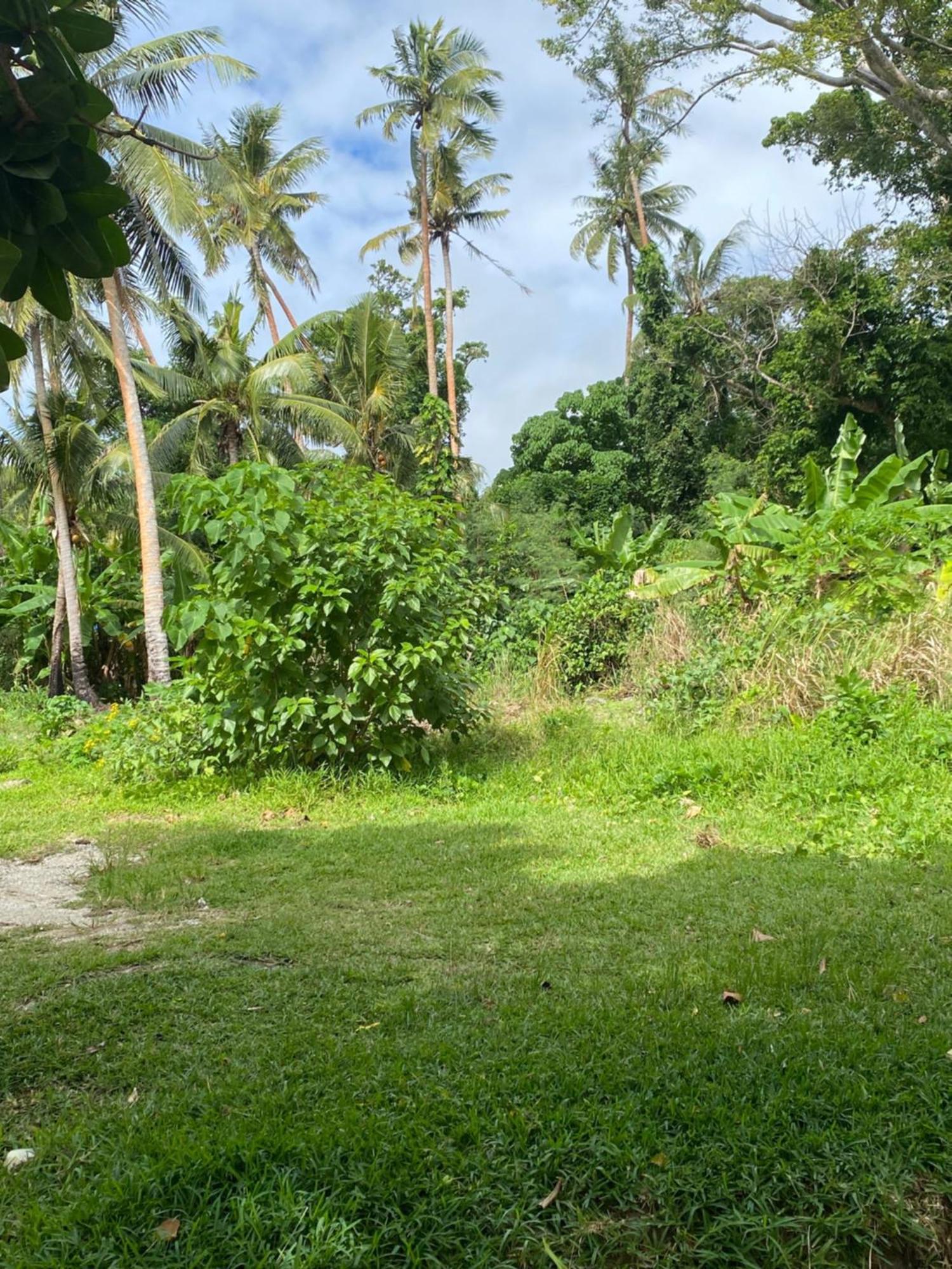 Vatupau Beachfront Bungalows 维拉港 外观 照片
